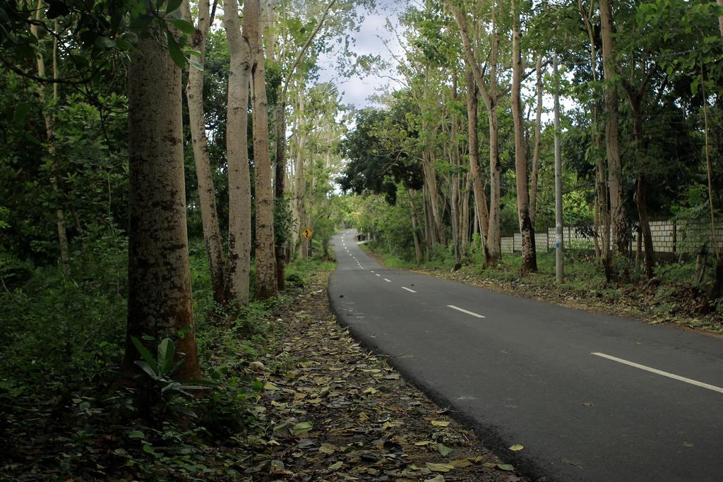 The Wyn Villa Uluwatu Exteriör bild